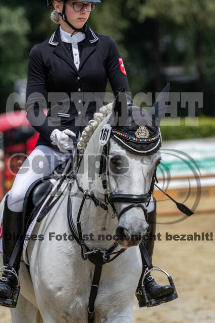 Goldene Schärpe 2021 - Ponys