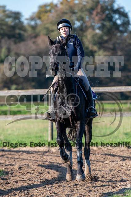Vielseitigkeitslehrgang mit Jürg Kurbel (9.+10.11.2019)