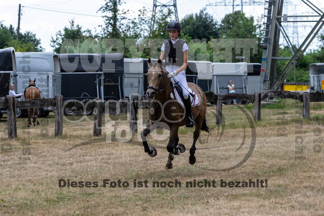 Late-Entry Vielseitigkeit Hamminkeln/Wesel (01.+02.08.2020)