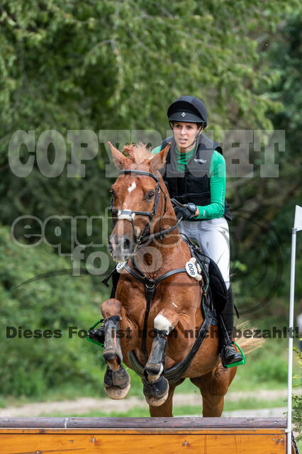 Late-Entry-Vielseitigkeit Langenfeld (06.+07.07.2020)