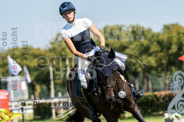 Kronenberg - De Peelbergen (August 2020)