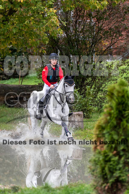 Goldene Schärpe 2020 - Pferde