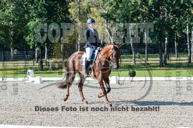 Deutsche Meisterschaft Vielseitigkeit (Luhmühlen)
