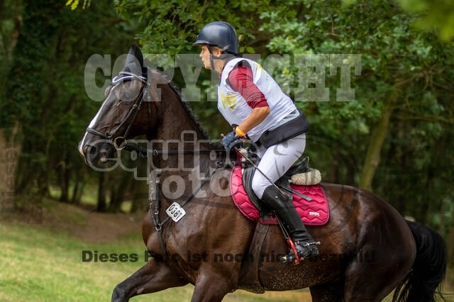 Late-Entry Vielseitigkeit Hamminkeln/Wesel (01.+02.08.2020)