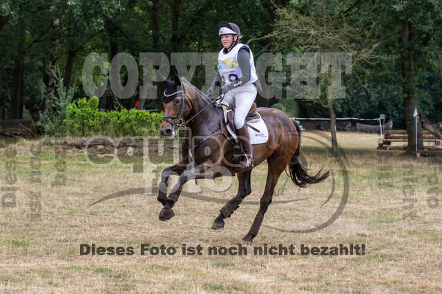 Late-Entry Vielseitigkeit Hamminkeln/Wesel (01.+02.08.2020)