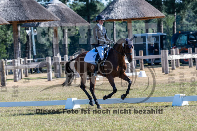 Kronenberg - De Peelbergen (August 2020)