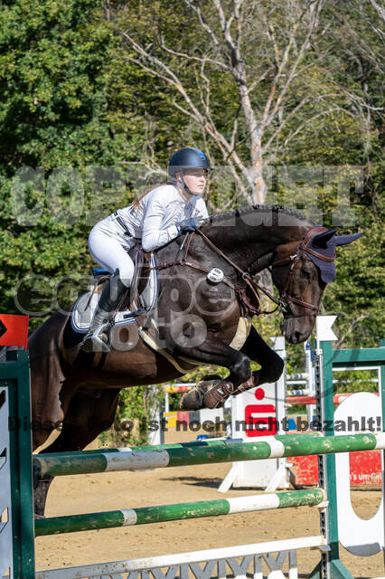 RFV Dinslaken-Hiesfeld (Herbstturnier)