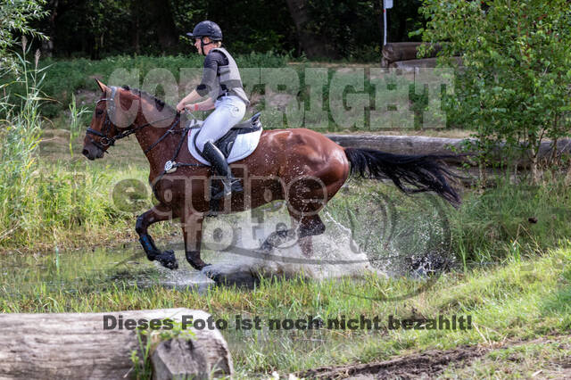 Late-Entry Vielseitigkeit Hamminkeln/Wesel (01.+02.08.2020)