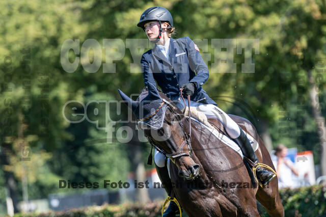 Kronenberg - De Peelbergen (August 2020)