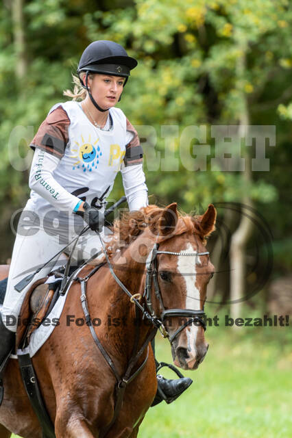 Vielseitigkeit RSV Wesel Obrighoven (26.+27.09.2020)