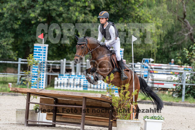 Late-Entry-Vielseitigkeit Langenfeld (11.+13./14.06.2020)