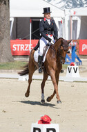 FEI European Championship Eventing 2017
