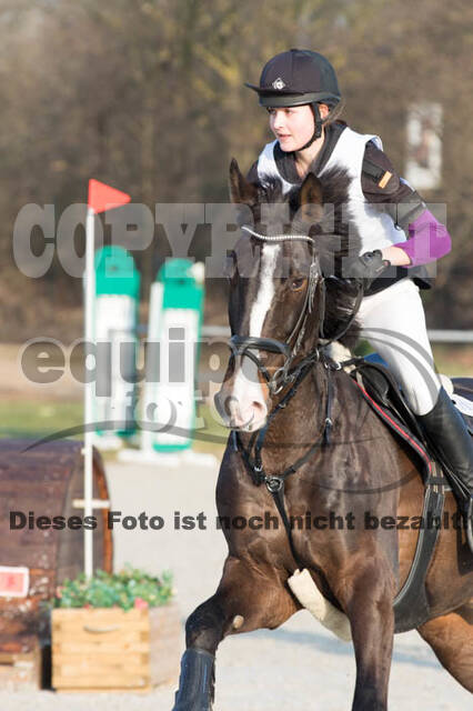 Eventing Langenfeld 2018