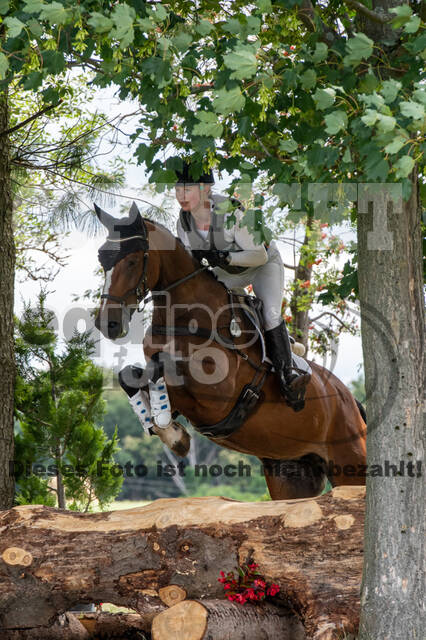 Bonn-Rodderberg Late-Entry-Vielseitigkeit (30.06.2020)