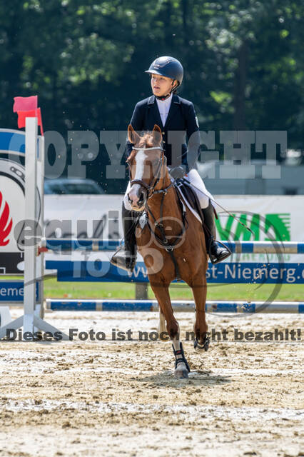 Goldene Schärpe 2021 - Ponys