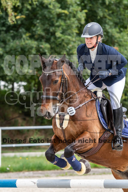 Late-Entry-Vielseitigkeit Langenfeld (06.+07.07.2020)