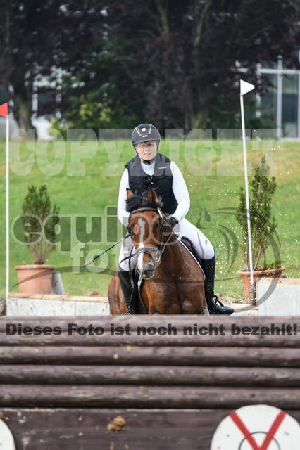 Late-Entry-Vielseitigkeit Langenfeld (11.+13./14.06.2020)