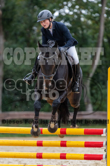 Vielseitigkeit RSV Wesel Obrighoven (26.+27.09.2020)