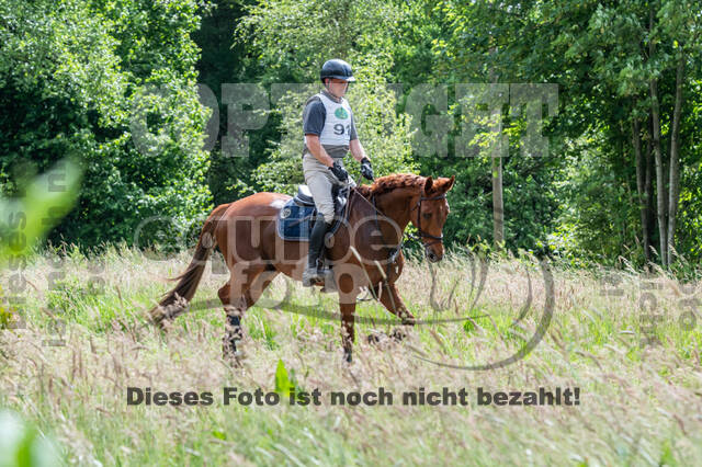 Westerstede Horse Trials 2021
