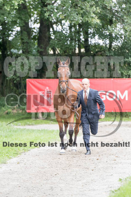 FEI European Championship Eventing 2017