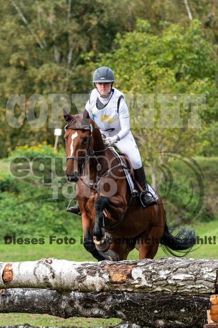 Vielseitigkeit RSV Wesel Obrighoven (26.+27.09.2020)