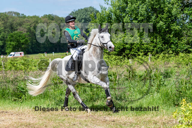 Westerstede Horse Trials (10.-13.06.2021)
