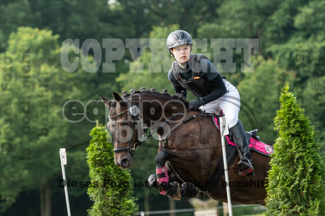 Goldene Schärpe 2021 - Ponys