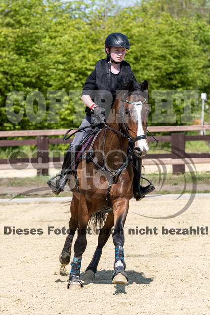 Geländetraining ZRFV Hamminkeln (09.05.2021)
