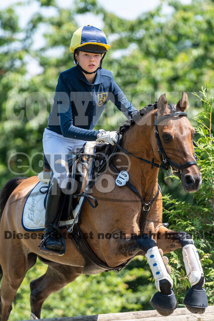 Goldene Schärpe 2021 - Ponys