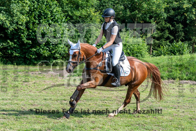 Goldene Schärpe 2021 - Ponys
