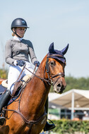 Kronenberg - De Peelbergen (August 2020)