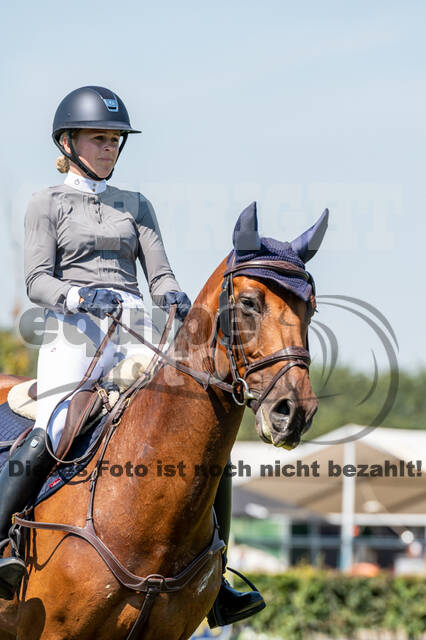 Kronenberg - De Peelbergen (August 2020)