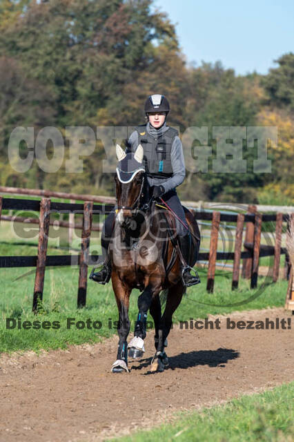 Vielseitigkeitslehrgang mit Jürg Kurbel (9.+10.11.2019)