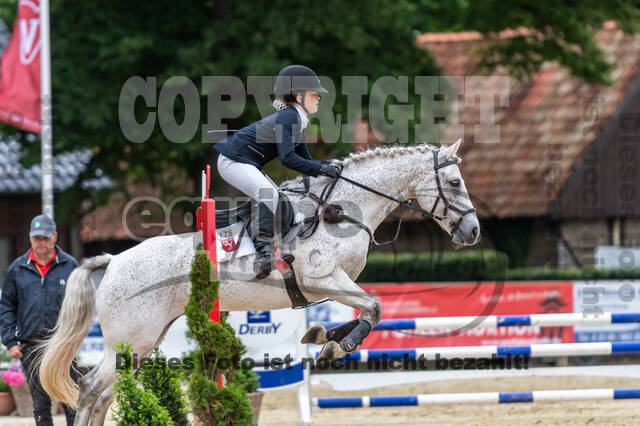 Goldene Schärpe 2021 - Ponys
