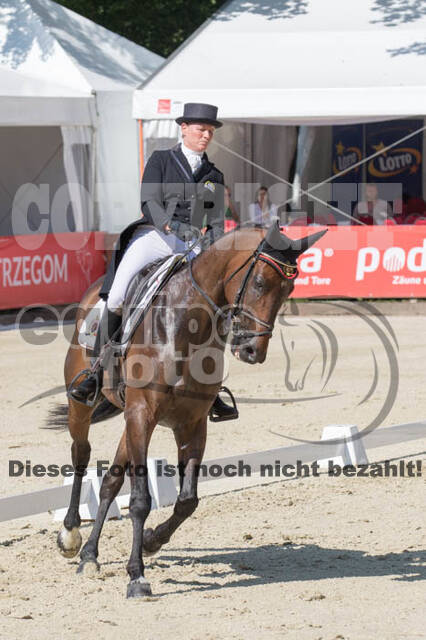 FEI European Championship Eventing 2017