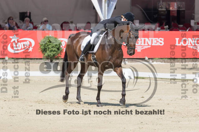 FEI European Championship Eventing 2017