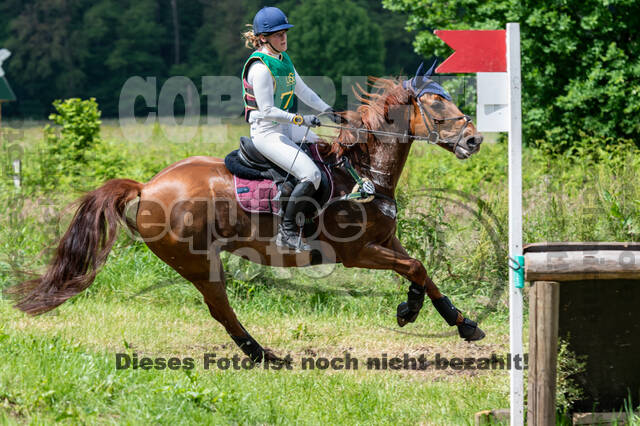 Westerstede Horse Trials (10.-13.06.2021)