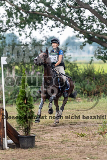 De Peelbergen (August 2020)