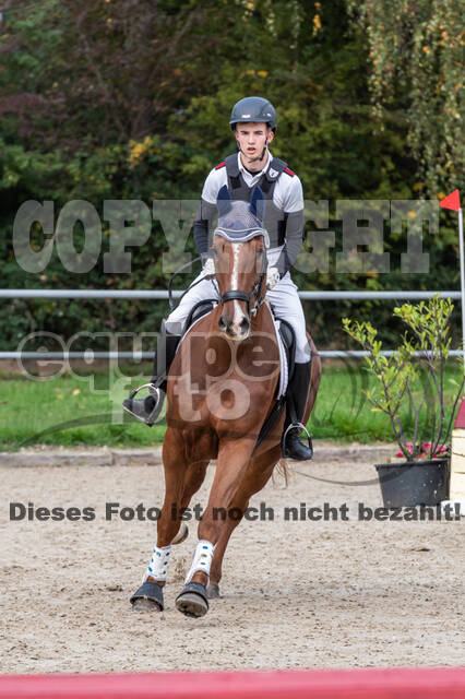 Goldene Schärpe 2020 - Pferde