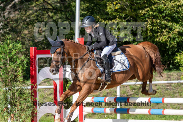 RFV Dinslaken-Hiesfeld (Herbstturnier)