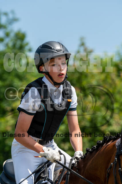 Goldene Schärpe 2021 - Ponys