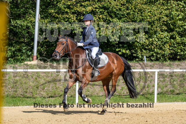 RFV Dinslaken-Hiesfeld (Herbstturnier)