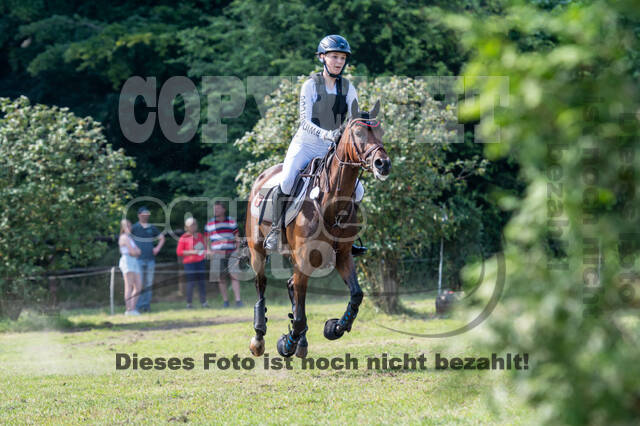 Goldene Schärpe 2021 - Ponys