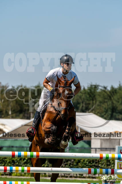 Kronenberg - De Peelbergen (August 2020)