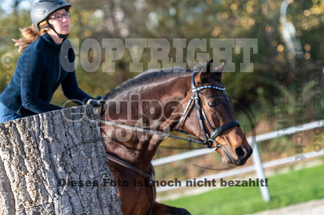 IGV Lehrgang der Sieger der Cups mit Frank Ostholt