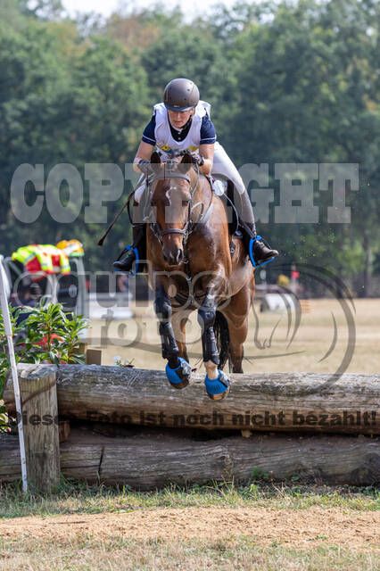 Late-Entry Vielseitigkeit Hamminkeln/Wesel (01.+02.08.2020)