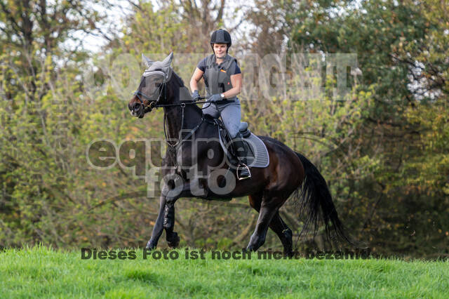 IGV Lehrgang der Sieger der Cups mit Frank Ostholt