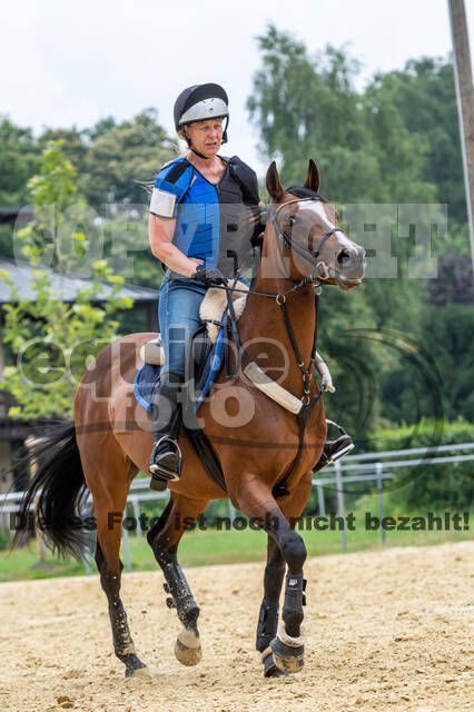 Hunter Geländetraining 10.07.2021 (Sonsbeck)