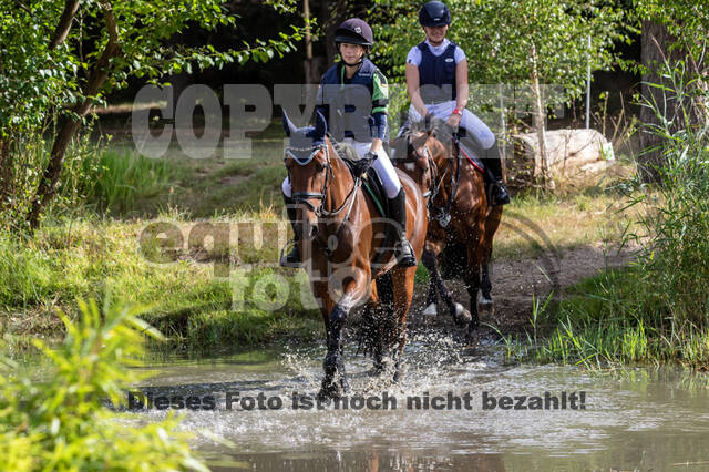 Late-Entry Vielseitigkeit Hamminkeln/Wesel (01.+02.08.2020)