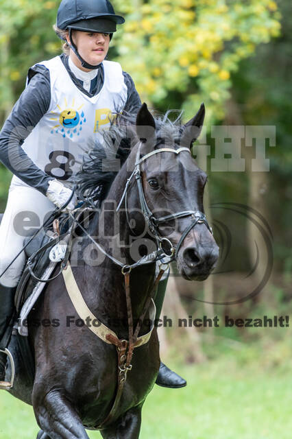 Vielseitigkeit RSV Wesel Obrighoven (26.+27.09.2020)